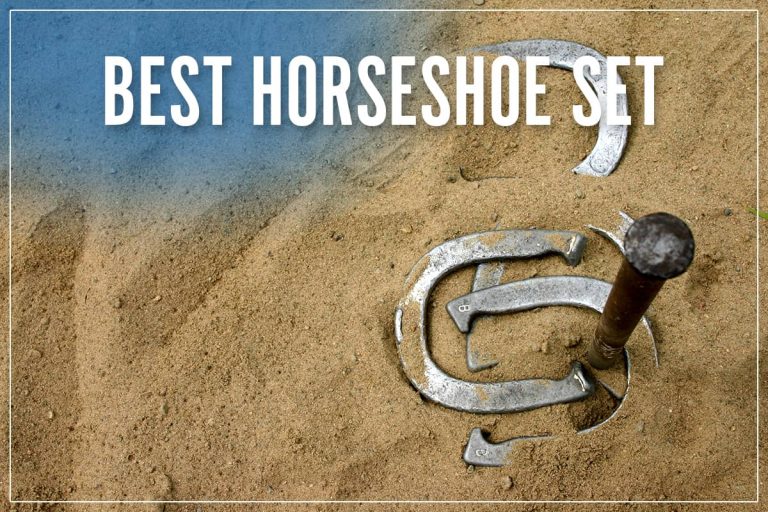 6 Best Horseshoe Sets 2023 Reviews [Ultimate Guide & How To Play]
