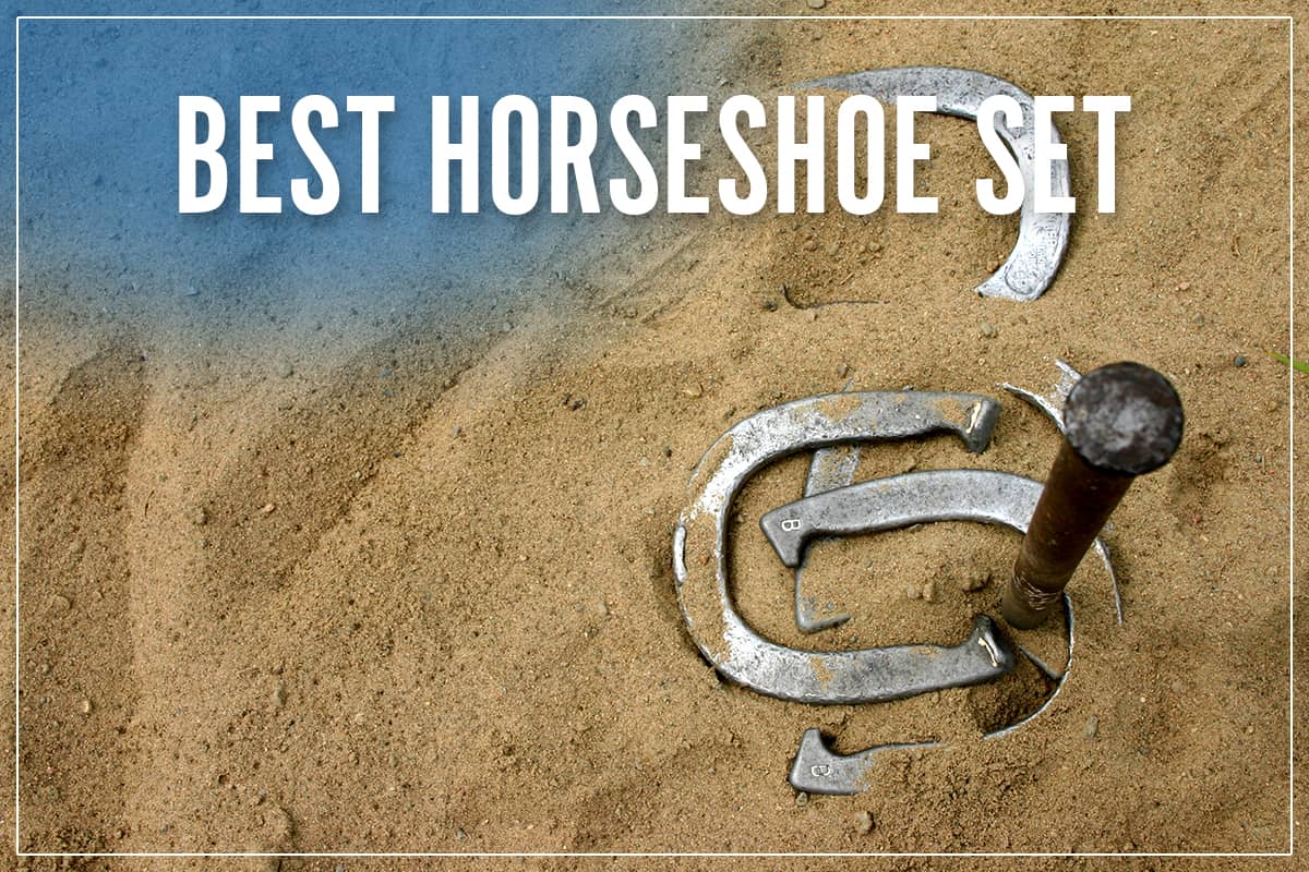 Best Horseshoe Set