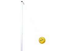 Champion Tetherball Set