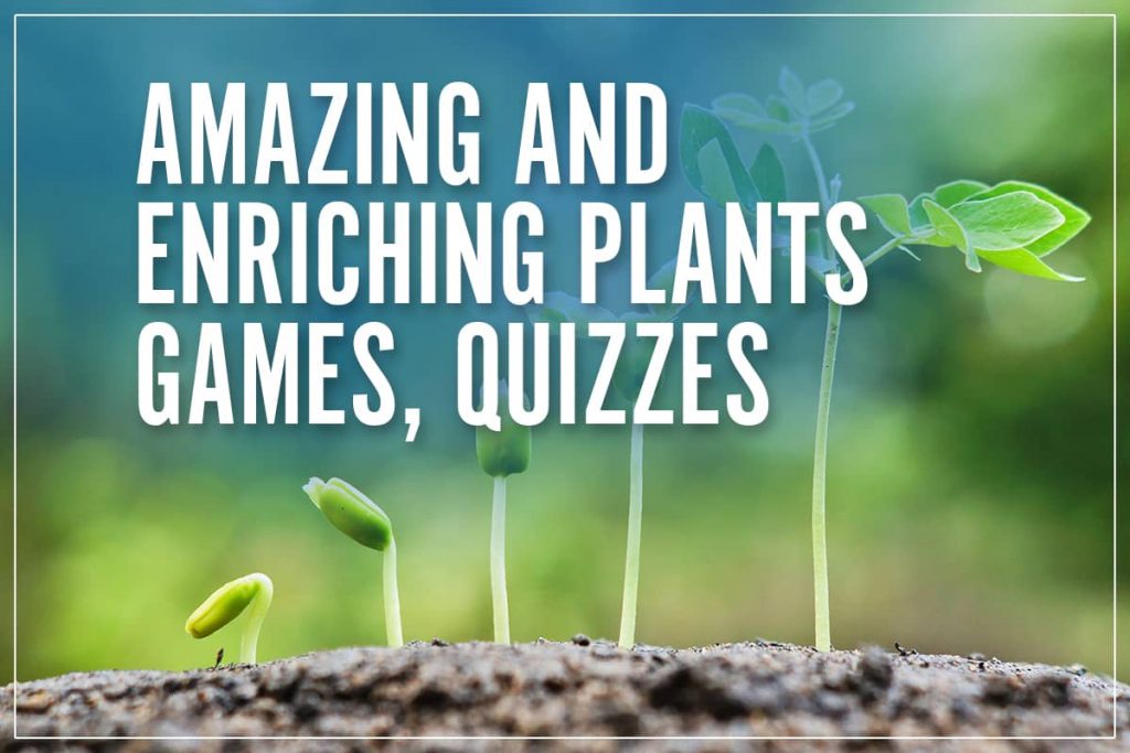 interactive plant games