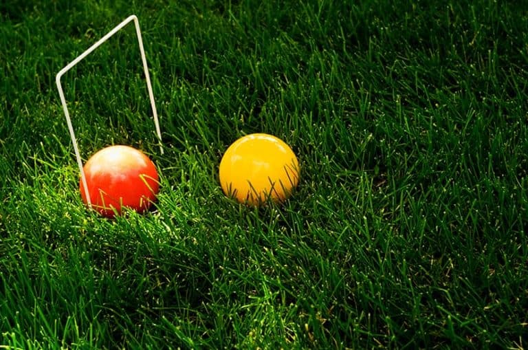 8 Best Croquet Sets 2023; Professional & Kids [Lawn Game Reviews]