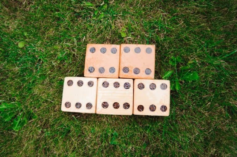 6 Best Yardzee Games 2023 │Outdoor Rules, Instructions & Scoring