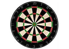 Bristle Darts