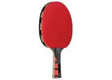 Evolution Paddle