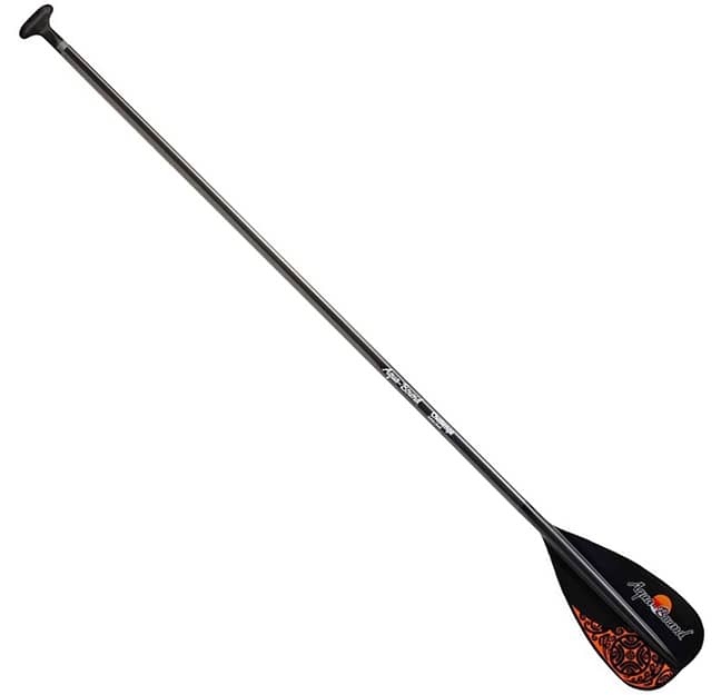 Aqua-Bound Stand-Up Paddle