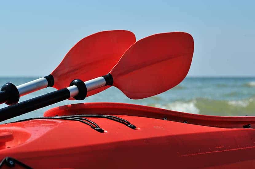 Choosing The Best Paddle For You