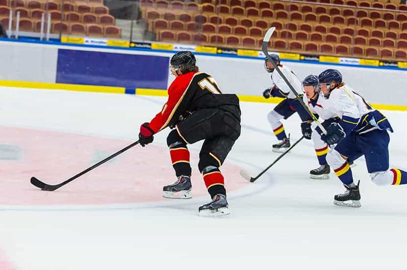 Hockey Player Roles