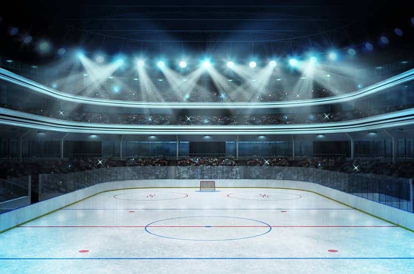 Surfaces And Rinks