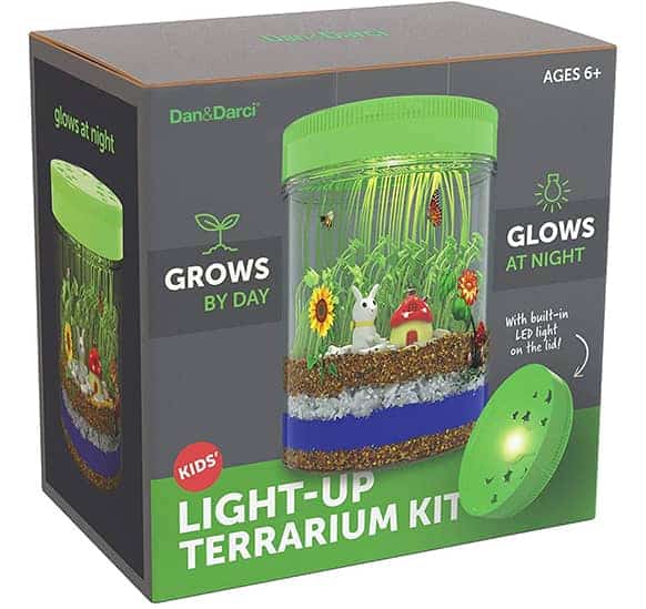 Light-Up Terrarium Kit