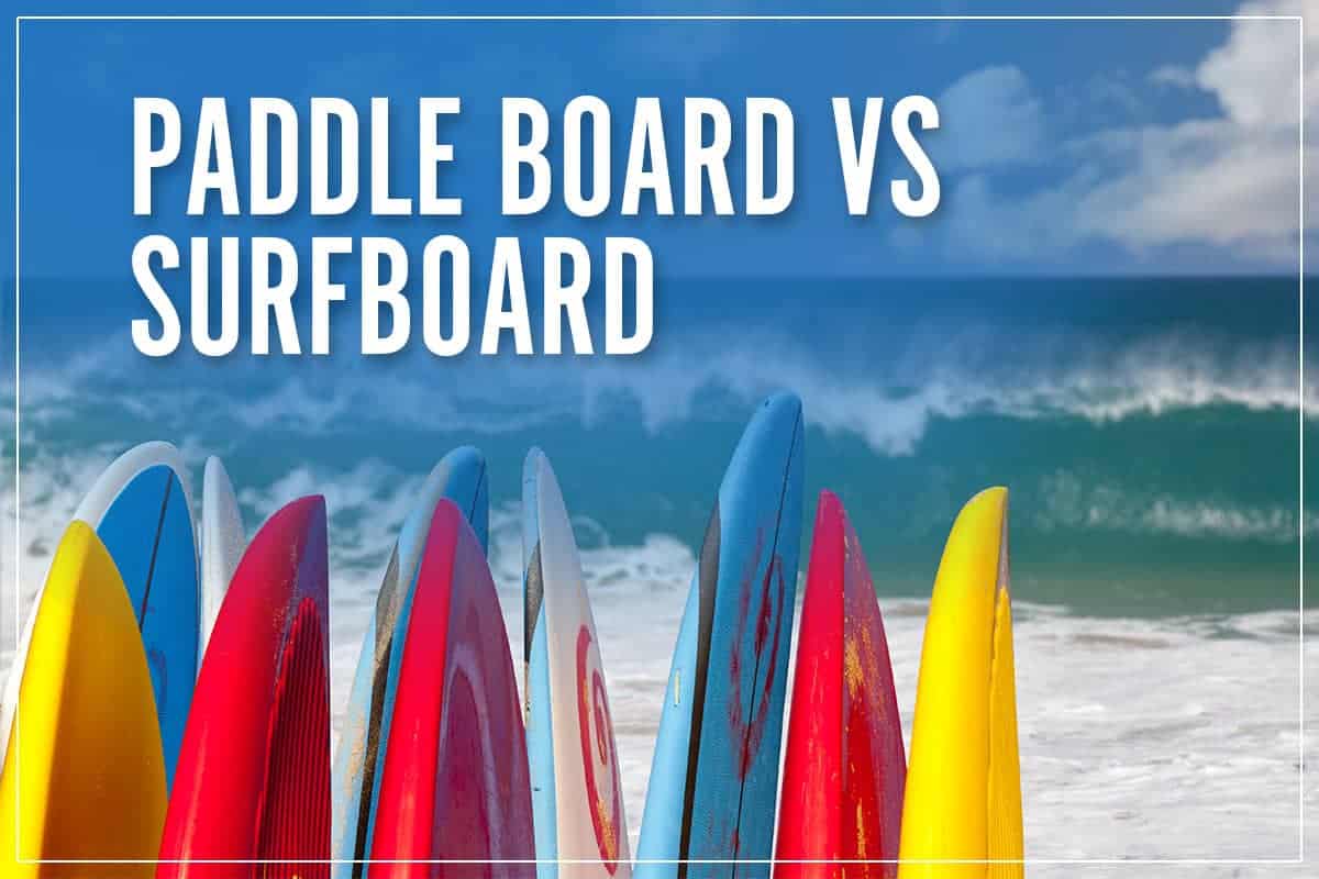 Paddle board and on sale surfboard