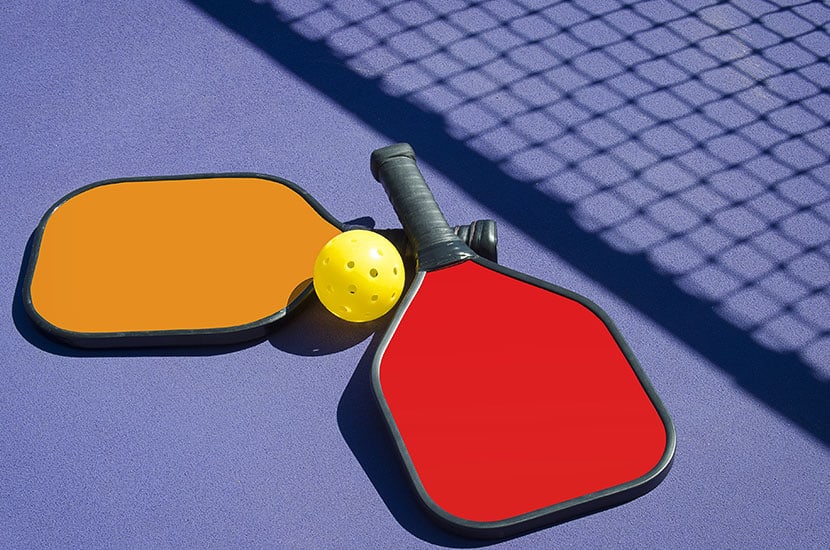 Pickleball Buyer’s Guide