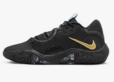 Nike PG 6