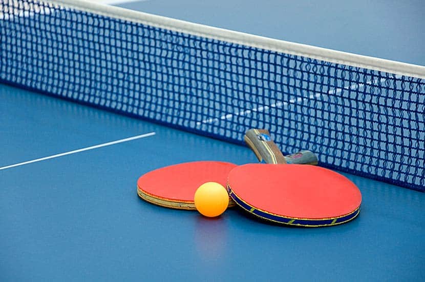 Ping Pong - The Net Assembly