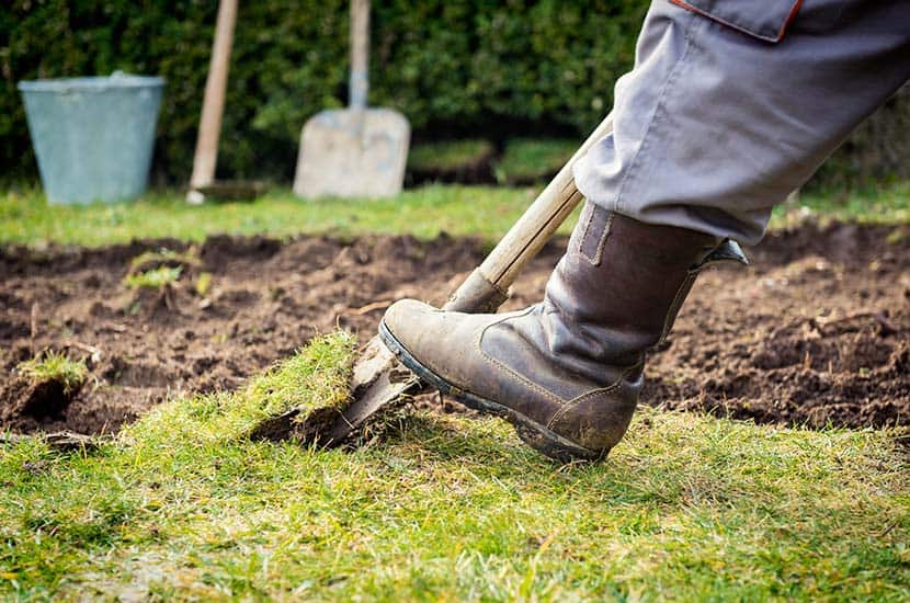 Dig Out The Soil