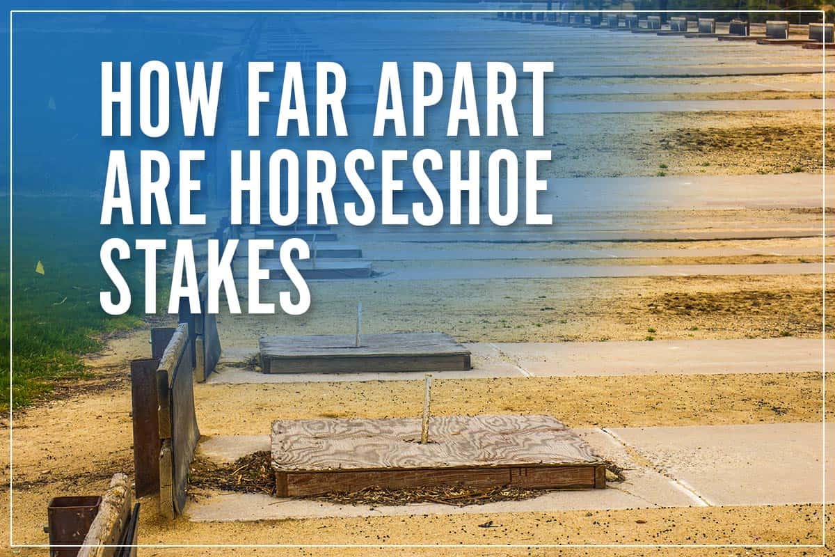 How Far Apart Are Horseshoe Stakes
