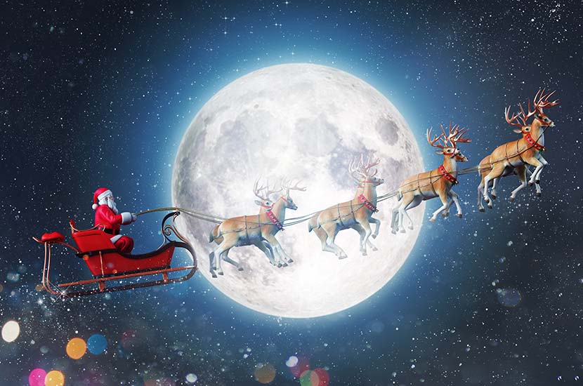 Reindeer Christmas Trivia Questions And Answers