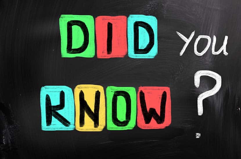 Road Trip Trivia Questions
