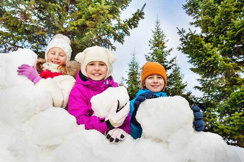Snow Fort