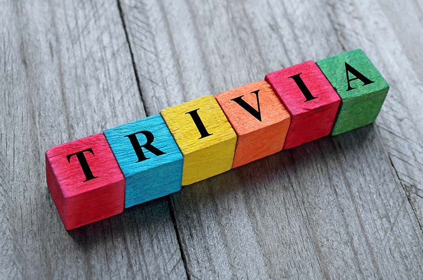 Trivia Game Genre