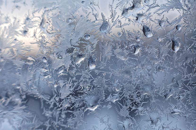 Frost Experiment