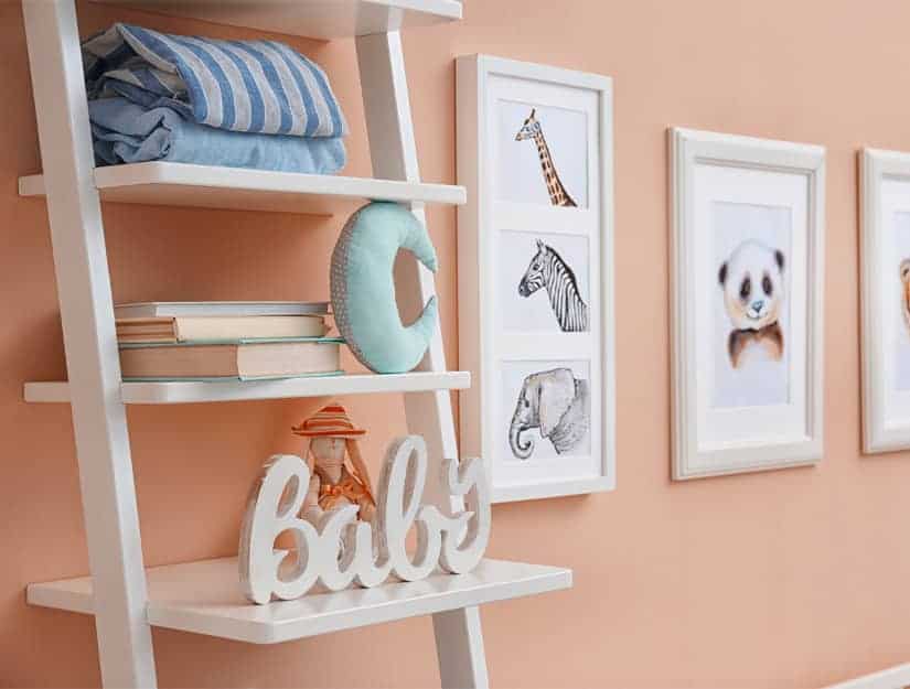 Repurposed Ladder Shelf